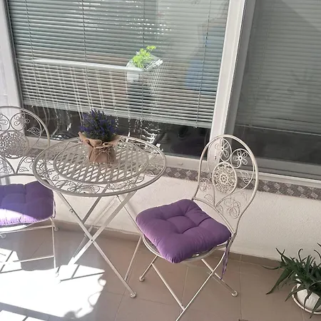 House Velevi Daire *