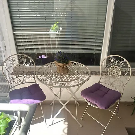 House Velevi *