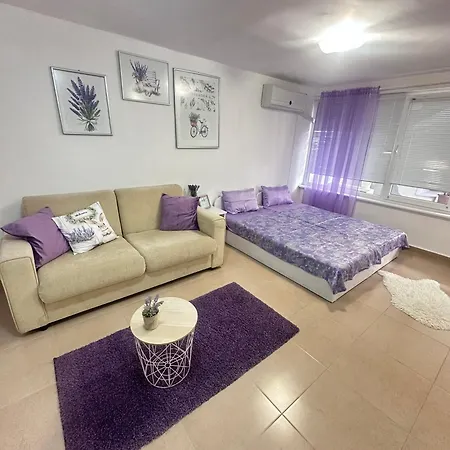 House Velevi 圣弗拉斯