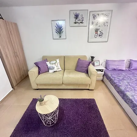 House Velevi 公寓