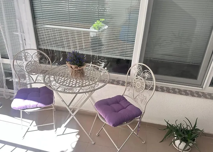 House Velevi アパート *